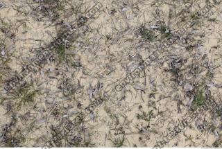 Photo of Various Textures